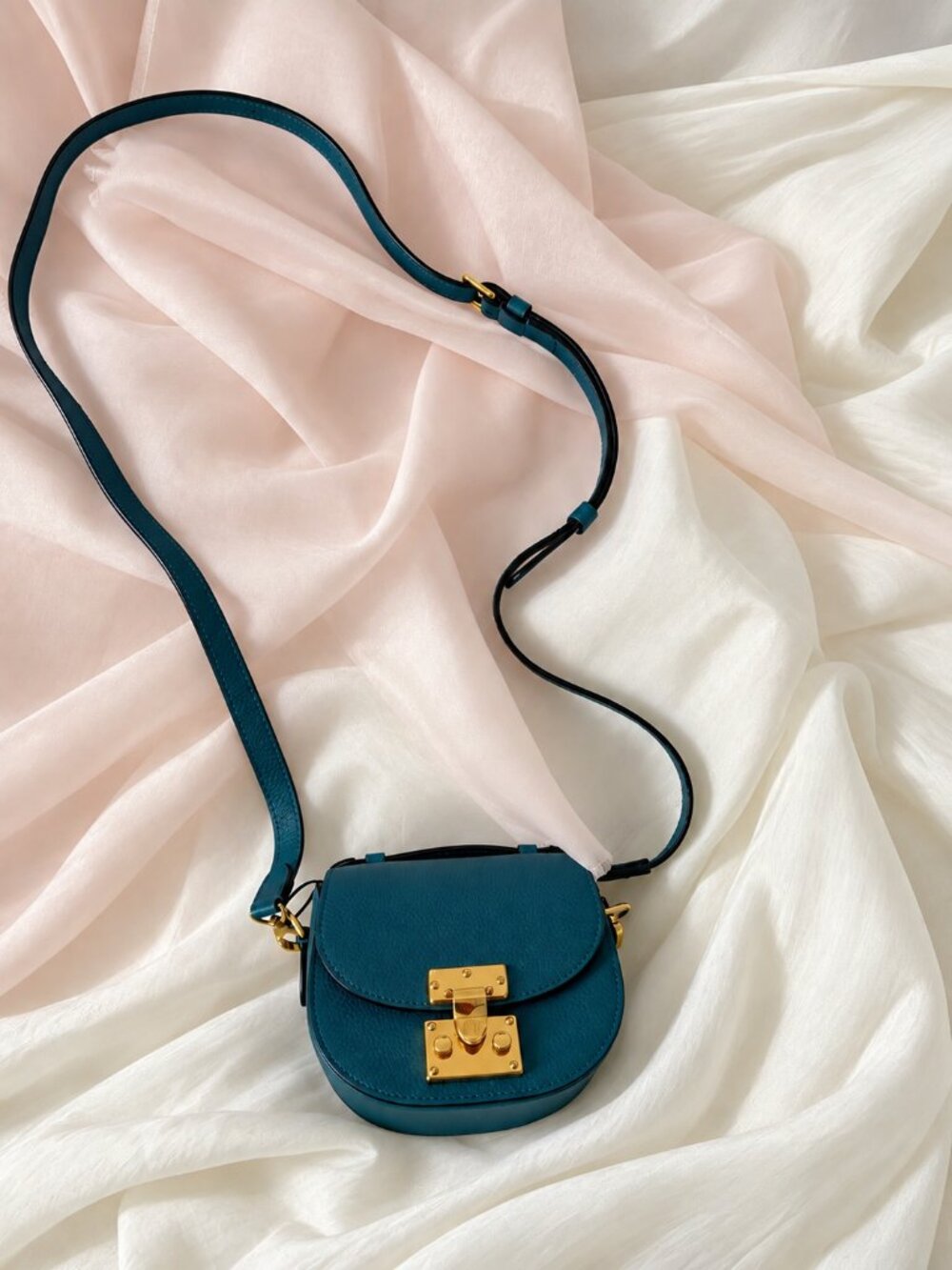 Moynat Flori Nano